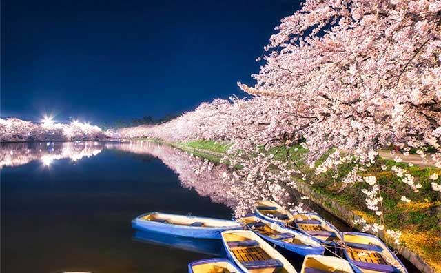 弘前さくらまつりの楽しみ方