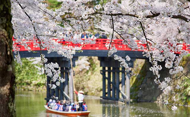 時間帯別の楽しみ方