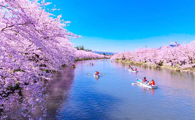 弘前さくらまつりのサービスを利用しよう