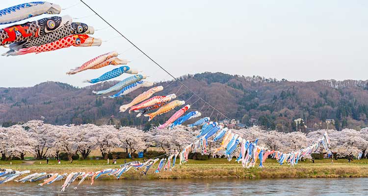 鯉ものぼる北上展勝地さくらまつり！花の便りを届ける東北新幹線