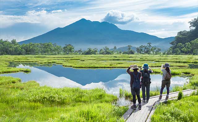 尾瀬ハイキングなら初心者でもOK！花咲く水のほとりで癒される
のイメージ