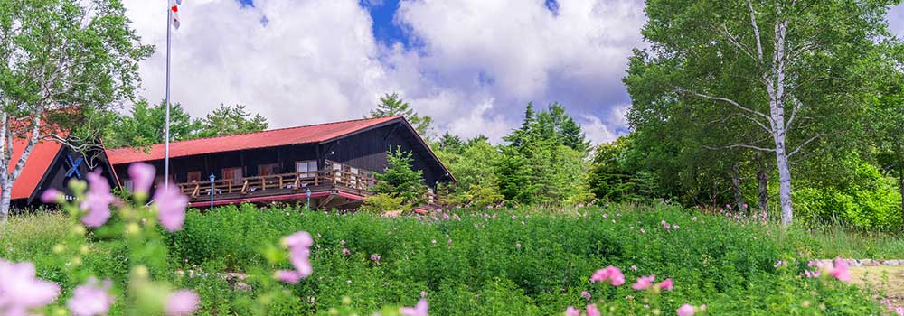 八ヶ岳の大自然を楽しもう！高原リゾート清里の観光で外せないおすすめスポット