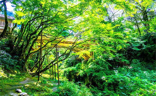こおろぎ橋