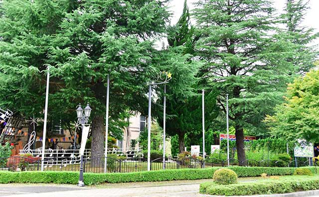 河口湖音楽と森の美術館