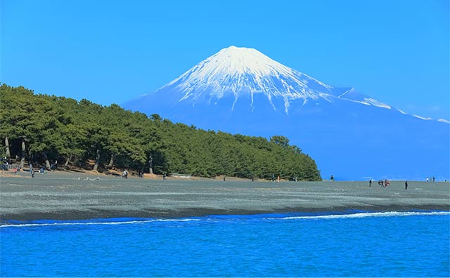 大迫力の自然を浴びる静岡の絶景の魅力