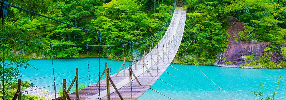 目を見張る静岡の絶景スポット！雄大な景色に会いに行こう