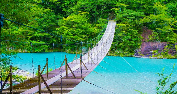 目を見張る静岡の絶景スポット！雄大な景色に会いに行こう