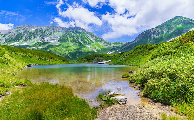 夏の立山黒部アルペンルートを巡る初心者向け絶景スポット6ヵ所