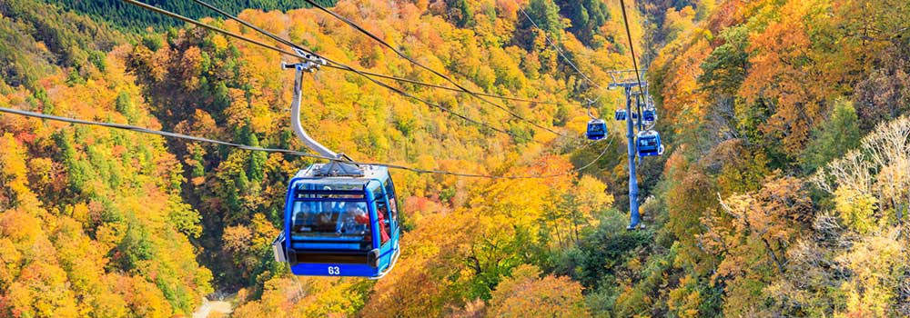 日本最長の苗場ドラゴンドラから見下ろす紅葉！絶景スポットやシーズンに最適な服装を紹介