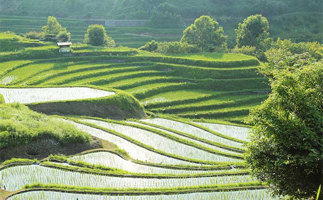 知られざる大阪の名所！？自然がいっぱいの観光スポットを紹介