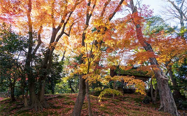 山崎山