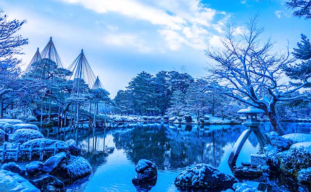 冬は雪吊りに注目しよう