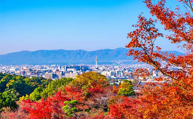 紅葉の季節に訪れたい京都