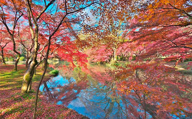 京都府立植物園