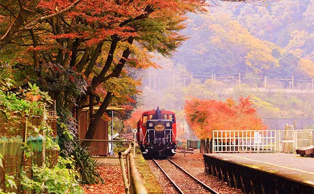嵯峨野トロッコ列車