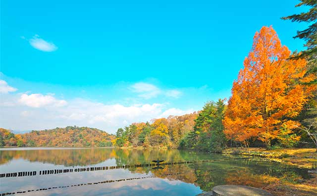 宝が池公園