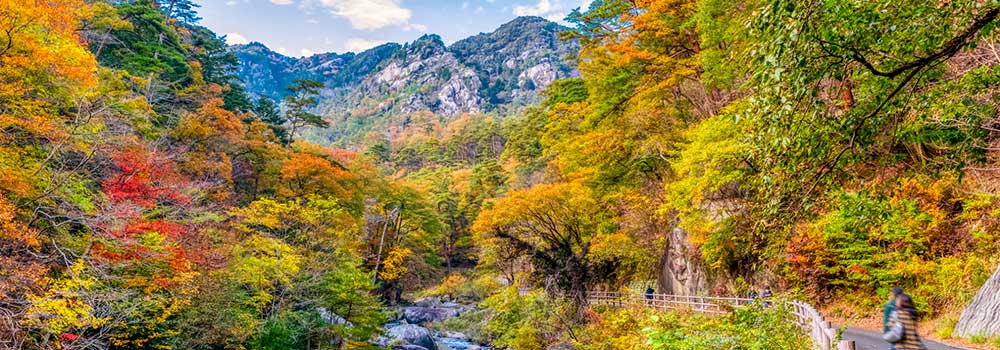 昇仙峡ならライトアップも楽しめる！紅葉スポットや見頃を紹介