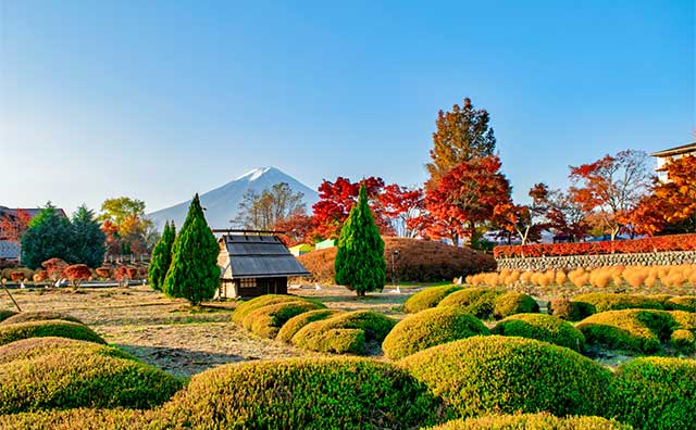 河口湖もみじ回廊のお役立ち情報