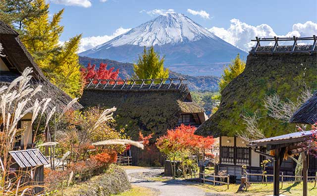 西湖いやしの里根場