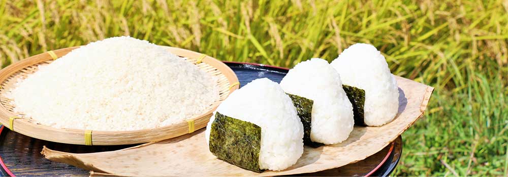 新潟名物グルメ9選！へぎそば・ベニズワイガニなどおいしいものがたくさん