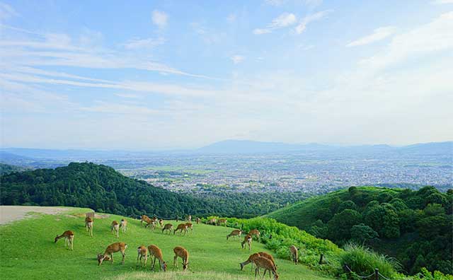 若草山