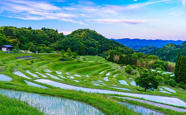 大山千枚田