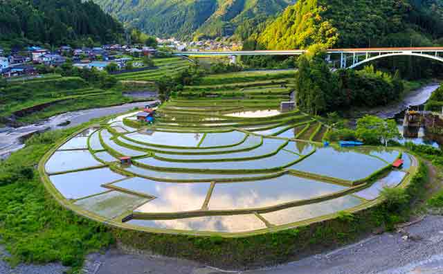 あらぎ島