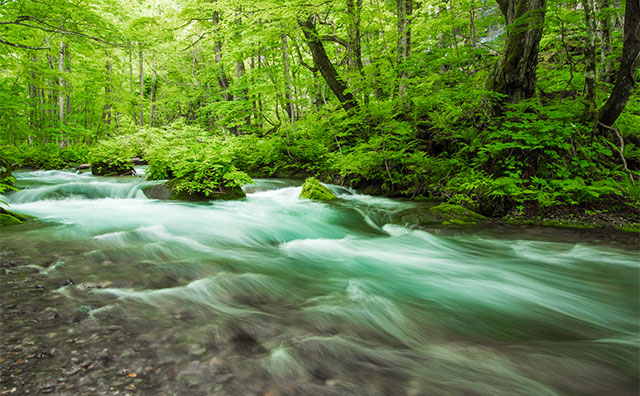 青森を車なしで観光！1泊2日のモデルコースと宿泊施設5選