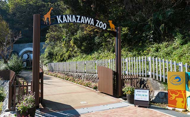 横浜市立金沢動物園