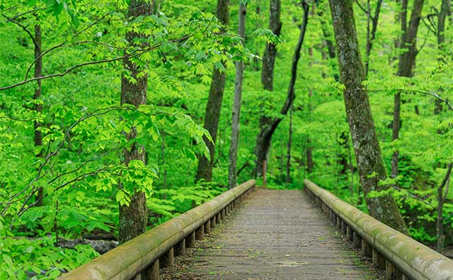 東北を満喫！ゴールデンウィークにおすすめの観光スポット12選