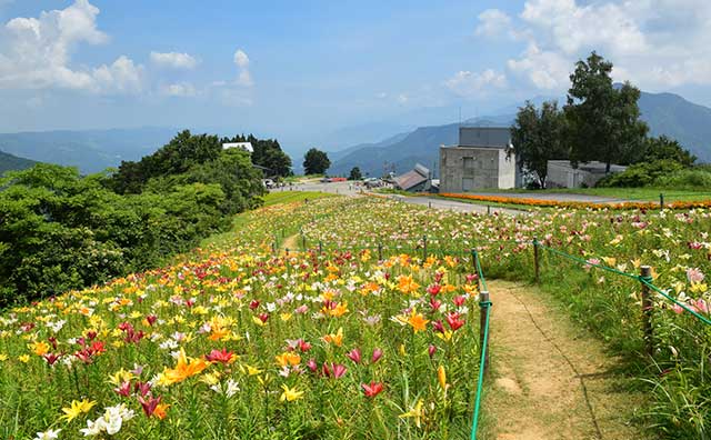 越後湯沢を車なしで観光する1泊2日のモデルコースと宿泊施設5選