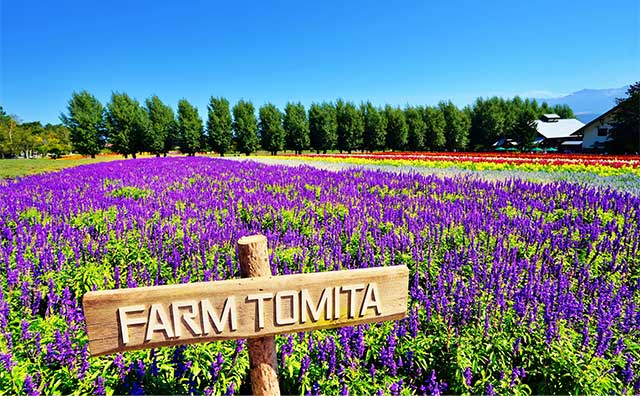 夏休みは北海道旅行へ！家族で楽しめる観光スポット13選