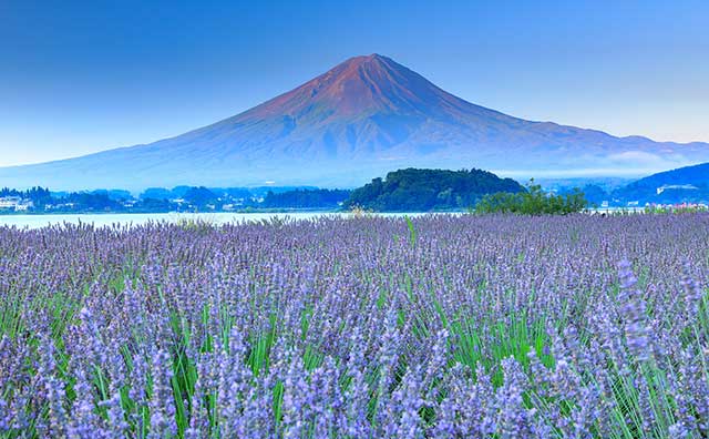 穴場を巡る夏休み！家族旅行で楽しむ自然・観光スポット15選