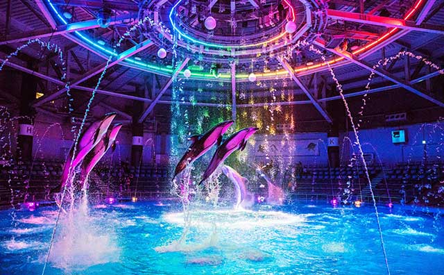 マクセル アクアパーク品川