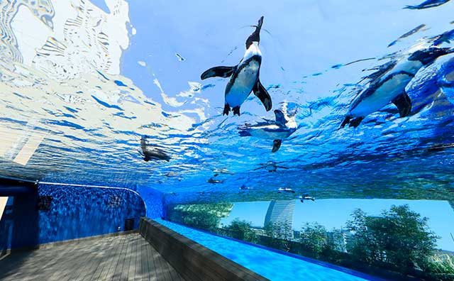 サンシャイン水族館