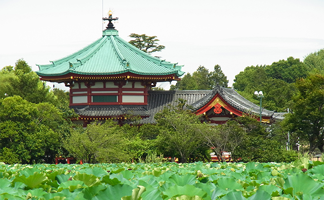 上野恩賜公園　不忍池
