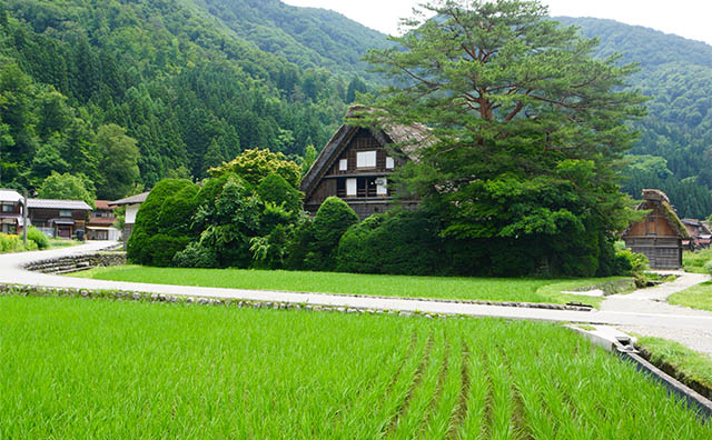 和田家