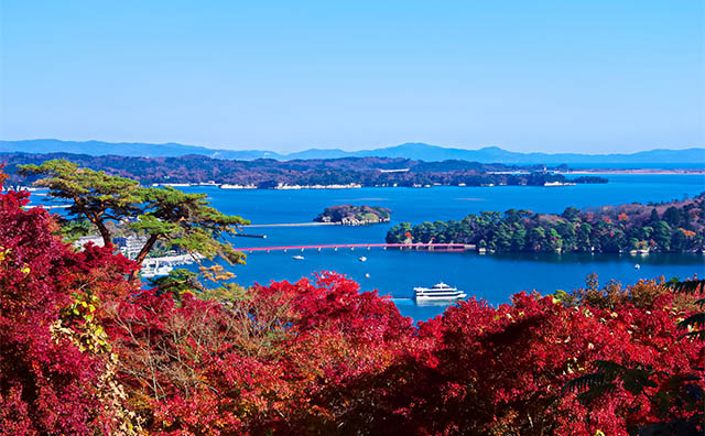 秋の松島