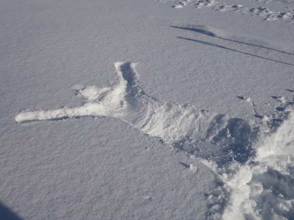 ふかふかの雪にバフッとして人型を作りたい！　スノーシューで雪遊び