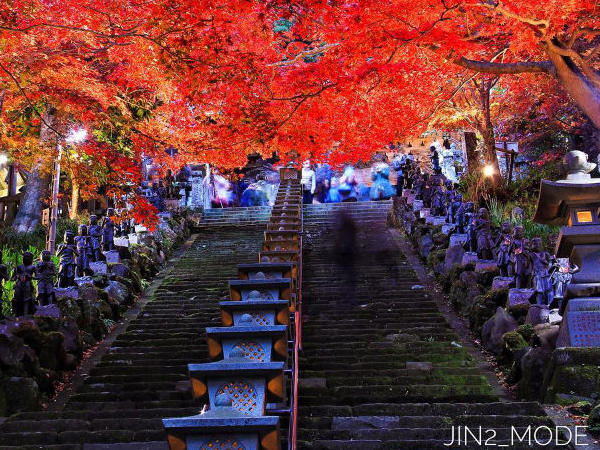 秋深まる紅葉列島──見頃を迎える関東・伊豆・北陸の絶景の紅葉を訪ねて