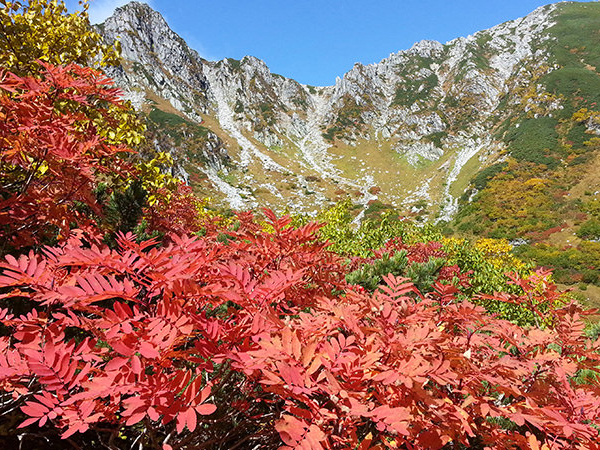 千畳敷の紅葉を見に行こう♪温泉、ビールも満喫する南信州の旅