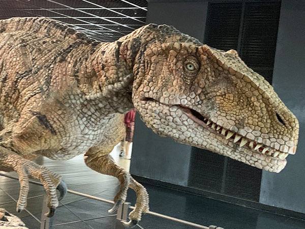 恐竜王国・福井へ潜入。恐竜博物館と越前松島水族館を親子でハシゴ