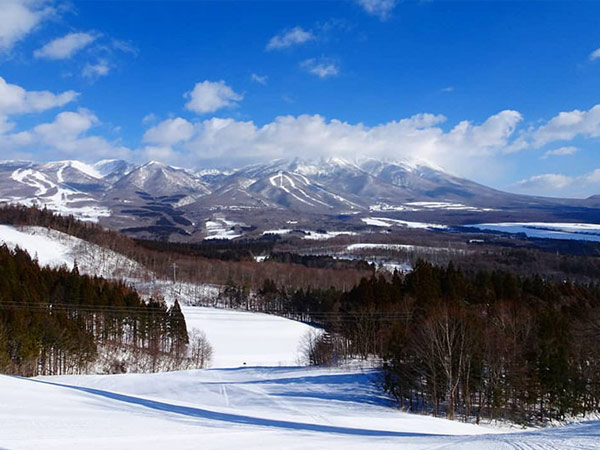 新幹線で行きやすいスキー場9選。温泉、買い物など観光情報も！