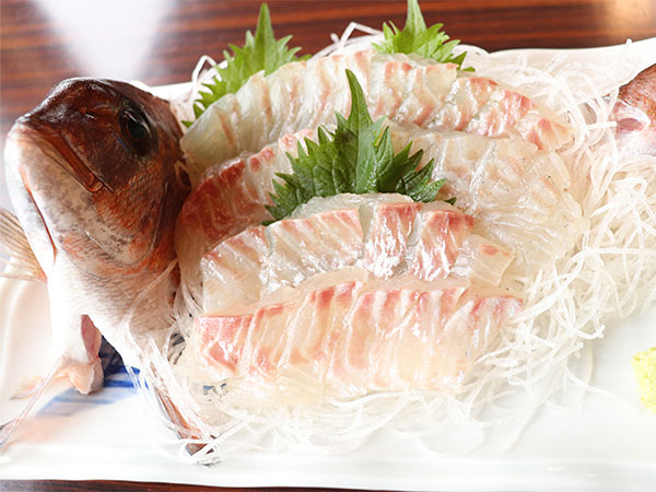 熱海の海上で釣り体験、手ぶらOK＆すぐ食べられる！温泉も満喫！