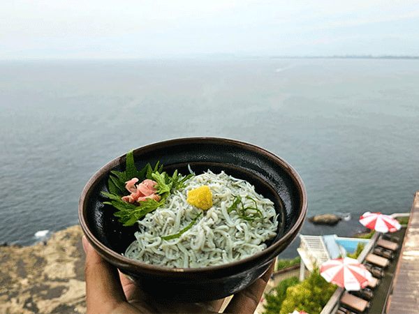 湘南モノレールで行く裏鎌倉＆江の島。穴場観光スポットを巡る旅
