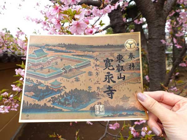 上野で御朱印巡り。寛永寺の限定御朱印や上野東照宮のパンダ御守も！