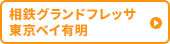 相鉄グランドフレッサ東京ベイ有明