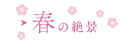 春の絶景