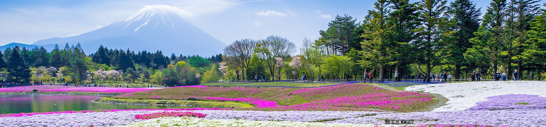 列車で巡る日本の絶景