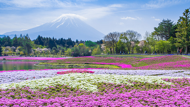 列車で巡る日本の絶景